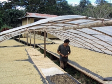 Peru: This farmer is able to dry his coffee more efficiently and with improved quality due to a solar dryer. GIZ supports farmer associations in Peru with expertise on solar dryers. <br />
© GIZ / Juan Carlos Quiros