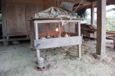 Indonesia: The heat-bulb warming the small chicken during night is powered by electricity from a micro-hydro project in Indonesia. <br />
© GIZ / Andi Michel